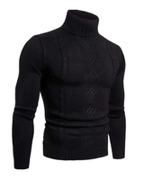 Bertrand – Warmer Strickpullover mit Rollkragen in Schwarz