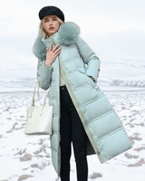 Karin | Damen Schicker Steppmantel mit Gürtel und Kapuze in Hellblau mit Beigefarbenem Kragenfutter