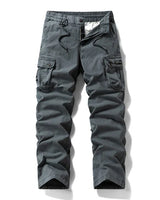 Alric - Premium-Cargohose in Grau