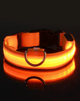 Hundehalsband aus Nylon mit LED-Beleuchtung für mehr Sicherheit bei Nacht, leuchtet im Dunkeln in Orange