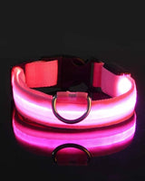 Hundehalsband aus Nylon mit LED-Beleuchtung für mehr Sicherheit bei Nacht, leuchtet im Dunkeln in Pink