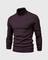 Schmal Geschnittener Rollkragenpullover Für Herren - Dario in Lila