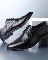 Schmaler Wingtip-Schnürschuh - Nicolai in Schwarz