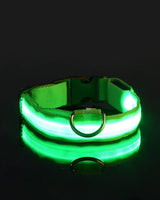 Hundehalsband aus Nylon mit LED-Beleuchtung für mehr Sicherheit bei Nacht, leuchtet im Dunkeln in Grün