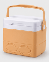 Kühlbox tragbar mit Griff für Camping in Orange
